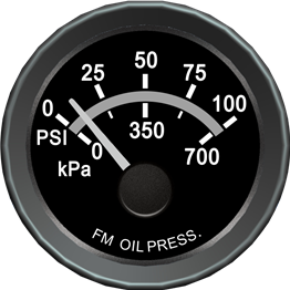 Customized items-Pressure gauge 100PSI