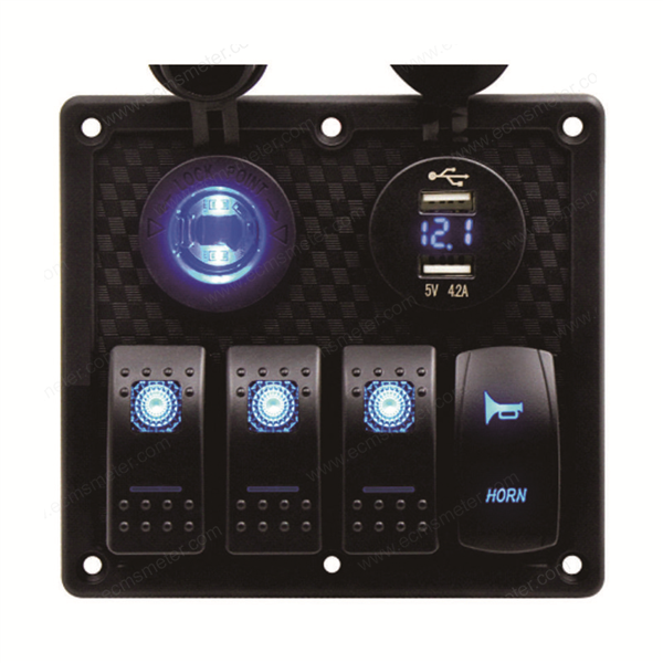 Switches panel