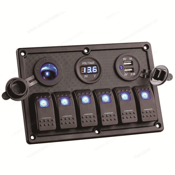 Switches panel