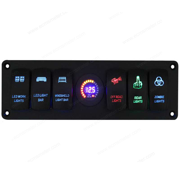 Switches panel