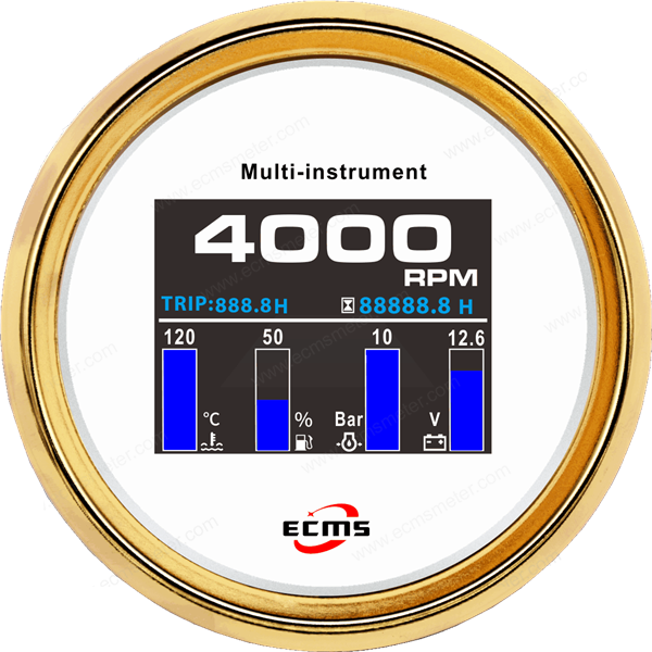 ECP/ECP2-TFT 转速多功能仪表